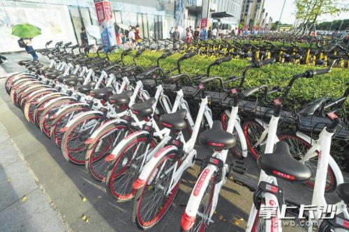 昨日下午，在開福區(qū)萬達(dá)廣場，成片的共享單車停放在廣場前坪。 長沙晚報(bào)記者 黃啟晴 攝