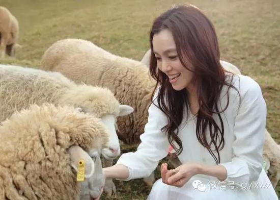 明星旅行糗事一籮筐 總有一個(gè)萌到你！