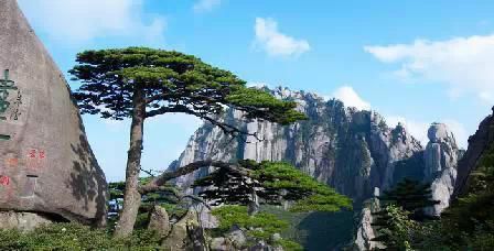 門票那么貴 沒法玩耍了！