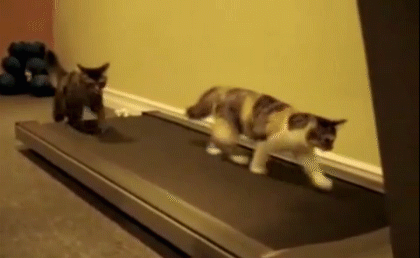 長期有氧運(yùn)動(dòng) 會(huì)讓減肥停滯