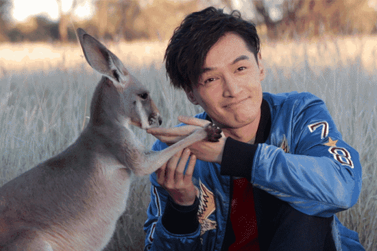 小袋鼠還有親到胡歌喲！