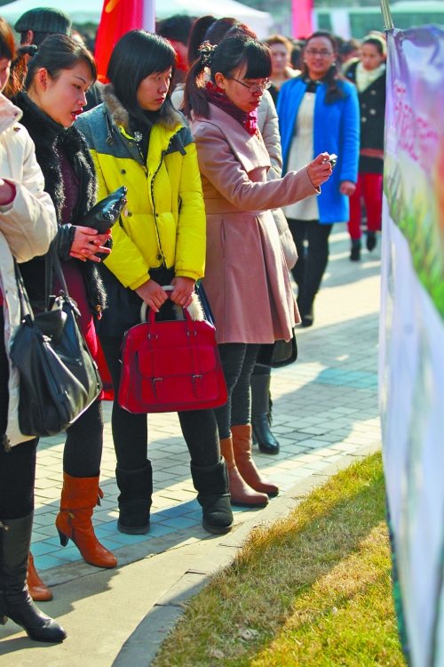 展板上粘貼的會員信息,吸引著單身男女的關注 展板上粘貼的會員信息,吸引著單身男女的關注