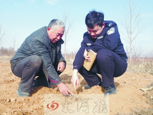 牡丹苗被盜之后，郭萬通又補(bǔ)種的牡丹苗已經(jīng)發(fā)芽