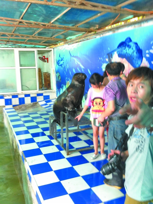 海獅館內的攝影師警惕性很高,禁止記者拍照。