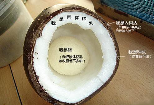 你在甜品店常吃的東西，到底都是啥？