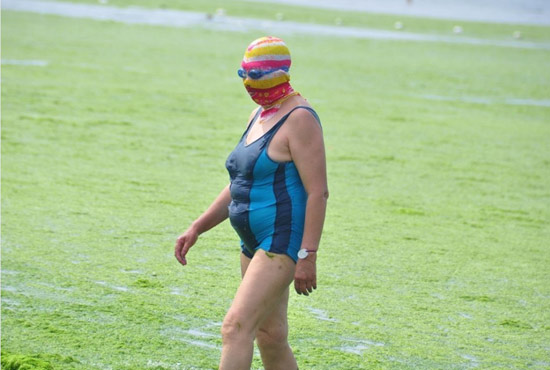 2013年7月3日，山東青島青島高溫來襲，“青島大媽”不懼滸苔，戴著“強盜面具”出現(xiàn)在海水浴場消暑降