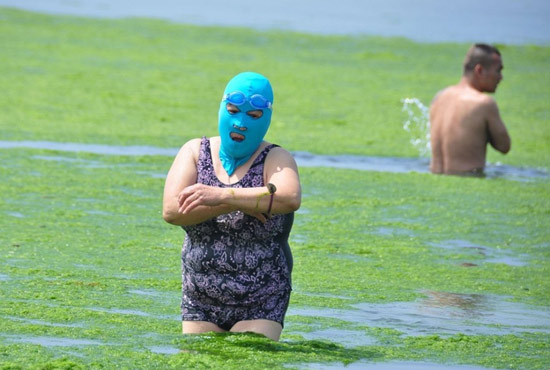 2013年7月3日，山東青島青島高溫來襲，“青島大媽”不懼滸苔，戴著“強盜面具”出現(xiàn)在海水浴場消暑降