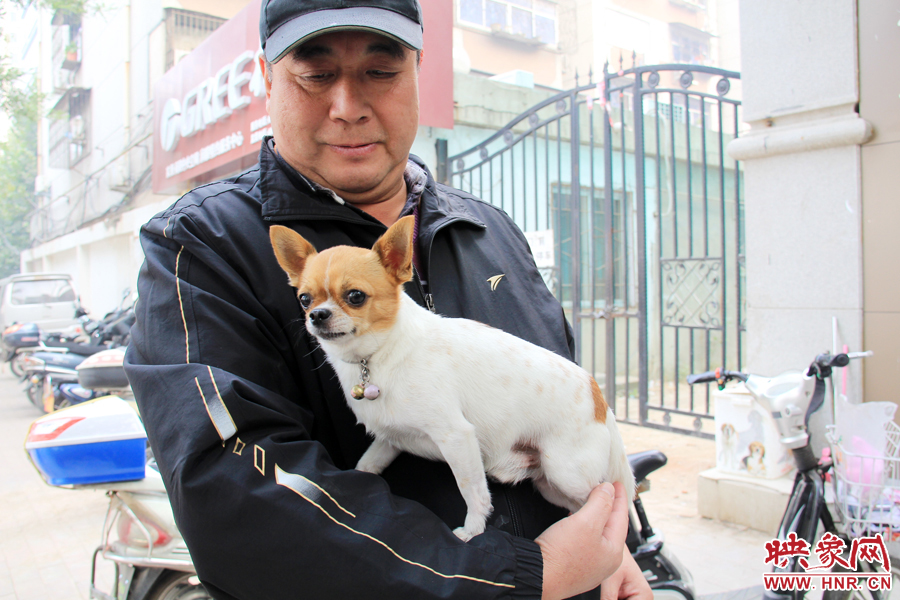 在市民眼里，小狗狗都是他們的小寶貝