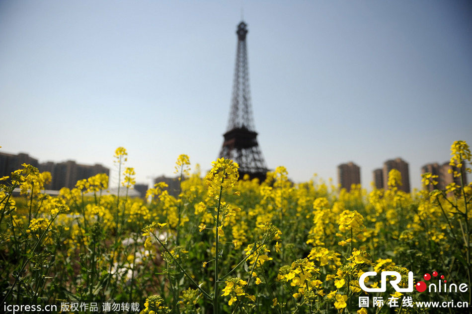 　2014年3月21日，杭州天都城，農(nóng)民在山寨埃菲爾鐵塔下耕作。圖片來源：東方IC