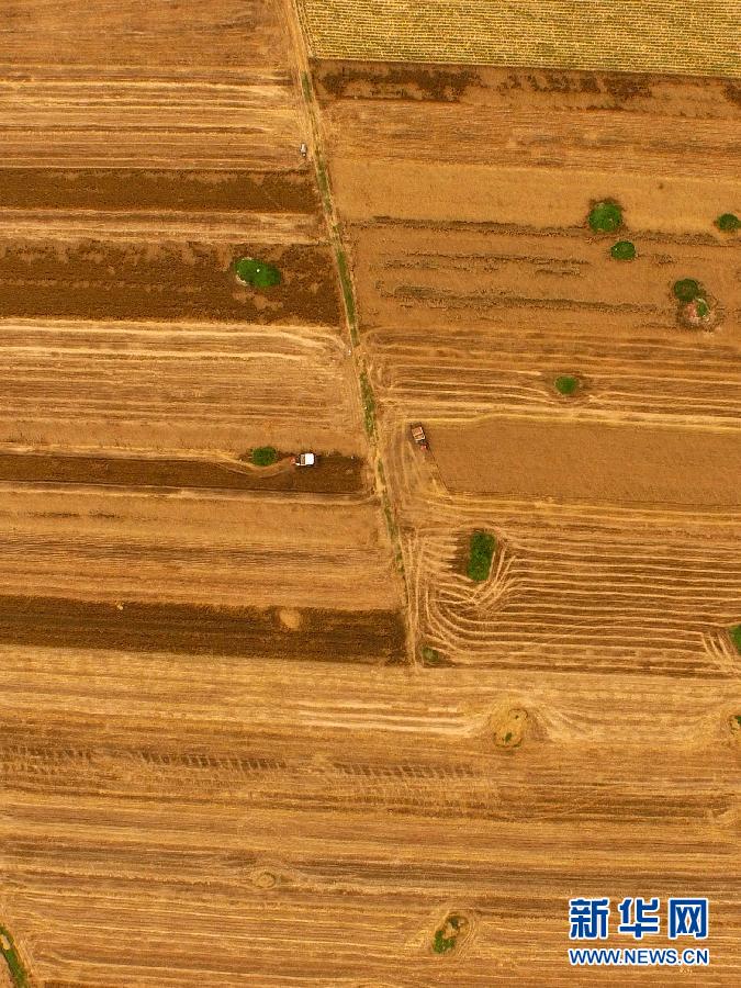 這是5月28日在河南省南陽市唐河縣甘河灣村航拍的麥?zhǔn)宅F(xiàn)場。