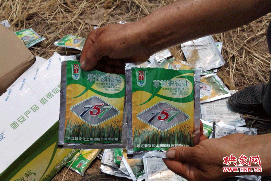 毀掉玉米的農(nóng)藥袋散落在地頭。