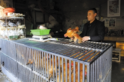 南京另一家農(nóng)貿(mào)市場(chǎng)內(nèi)待售的活雞。因南京出現(xiàn)H7N9禽流病例，買活雞的顧客減少。