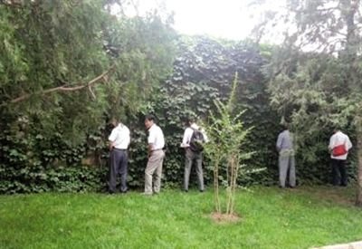 6月30日，頤和園內(nèi)綠地上，多名游客在小解。 網(wǎng)友“攝影老鬼” 攝