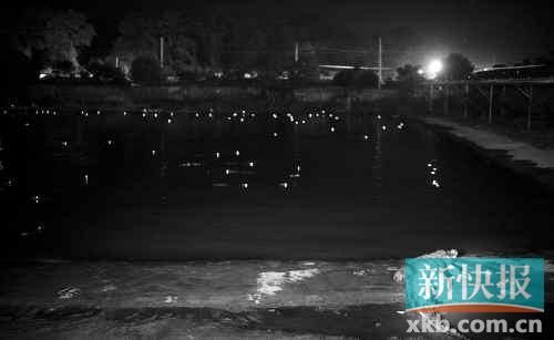 昨日，西湖村鱷魚養(yǎng)殖場已修復(fù)圍欄。