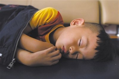 9月6日，等待錄制節(jié)目的多多躺在沙發(fā)上熟睡。新京報(bào)記者 侯少卿 攝