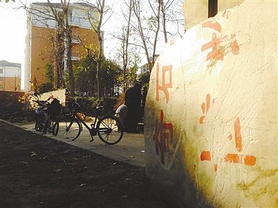 昨日，“上海奇石盆景博物館”原址上，已矗立起小區(qū)樓盤，而刻著博物館名的巨石，廢棄在一旁。本版圖片/新京報(bào)記者 張永生 攝