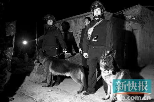 緝毒犬協(xié)助警方搜查毒品。