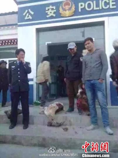 青海有民警被指獵殺野生動(dòng)物派出所長被停職