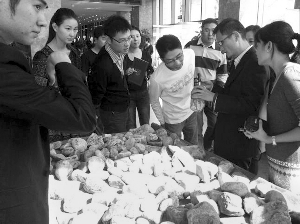 前段時間，夫子廟古玩城舉行的一場賭石活動，吸引了不少人參與