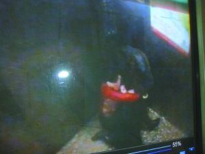 男子將侯某撲倒，侯某反抗。