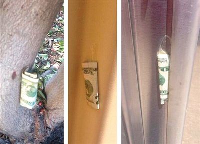 “隱藏的鈔票”會被神秘人藏在公園、廁所等“奇怪的地方”。