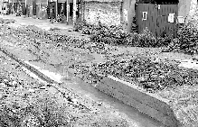 雨水先積在這個(gè)溝內(nèi) 雨水先積在這個(gè)溝內(nèi)