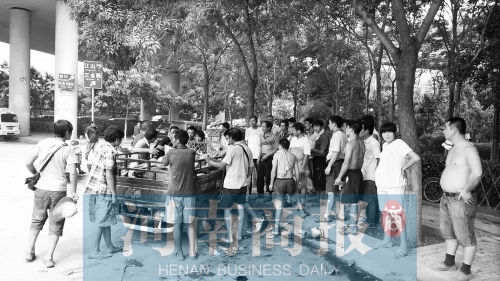 北環(huán)南陽路立交橋下，瓜農(nóng)小秦被打后，附近瓜農(nóng)紛紛圍了上來