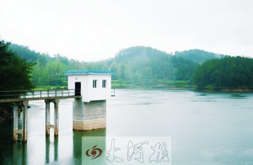 河南新縣一村疑現(xiàn)狼群獵食狗 專(zhuān)家稱(chēng)或是金錢(qián)豹