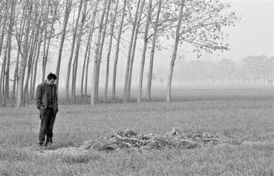 11月21日，高松中站在腦癱雙胞胎兒子墳前。