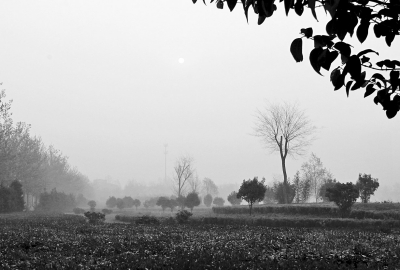 3月26日上午8點(diǎn),鄭大新校區(qū),濃濃的霧霾埋沒了大好春景。