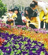 近距離才能拍得更真切。