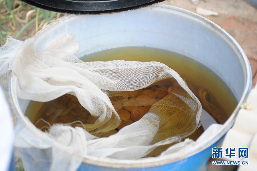 地下水成“綠茶”　污染二十多年該誰治？