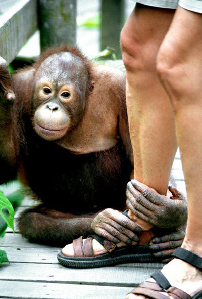 馬來西亞富庶安寧的天堂 馬來西亞富庶安寧的天堂