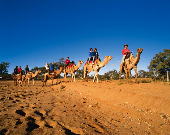 天地任縱橫 出境自駕游最火兩條線路推薦 天地任縱橫 出境自駕游最火兩條線路推薦