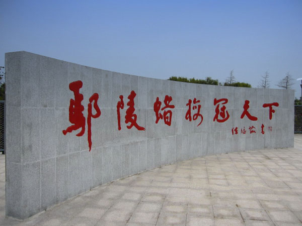 第三屆鄢陵臘梅文化節(jié)盛大開(kāi)幕邀您來(lái)