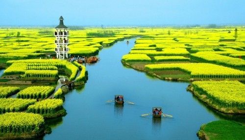 盤(pán)點(diǎn)全國(guó)13處絕美的油菜花觀(guān)賞地