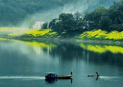 盤(pán)點(diǎn)全國(guó)13處絕美的油菜花觀(guān)賞地