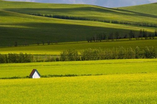 盤(pán)點(diǎn)全國(guó)13處絕美的油菜花觀(guān)賞地