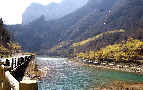 有一種呼喚，叫春天里的蟒河！