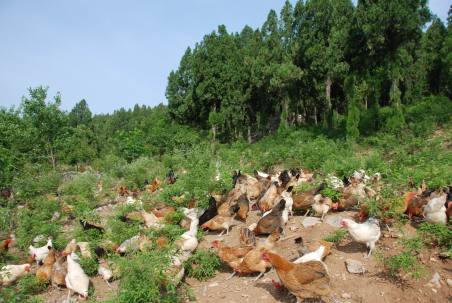 旅游真奇妙 這些事你知道嗎？