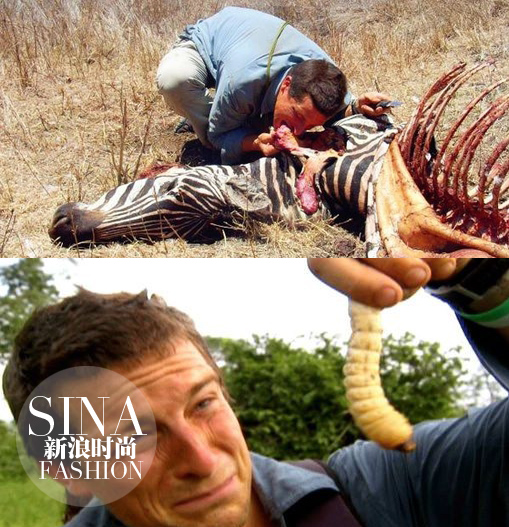 大型動(dòng)物和肉蟲子……也都能生吞活剝！