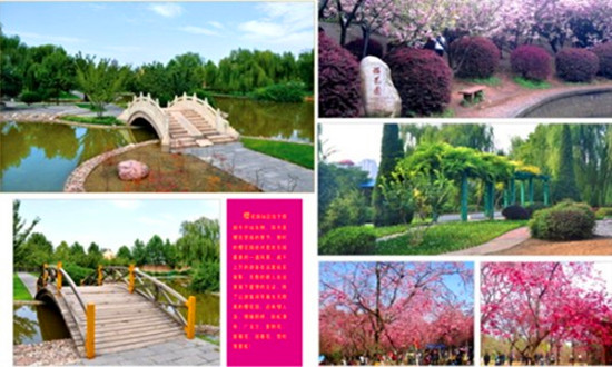 周末賞花歡樂行 鄭州世紀(jì)歡樂園 周末賞花歡樂行 鄭州世紀(jì)歡樂園