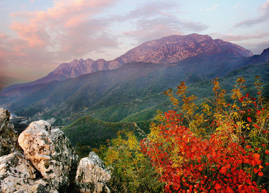 大鴻寨登山比賽將于本月20日舉行 大鴻寨登山比賽將于本月20日舉行