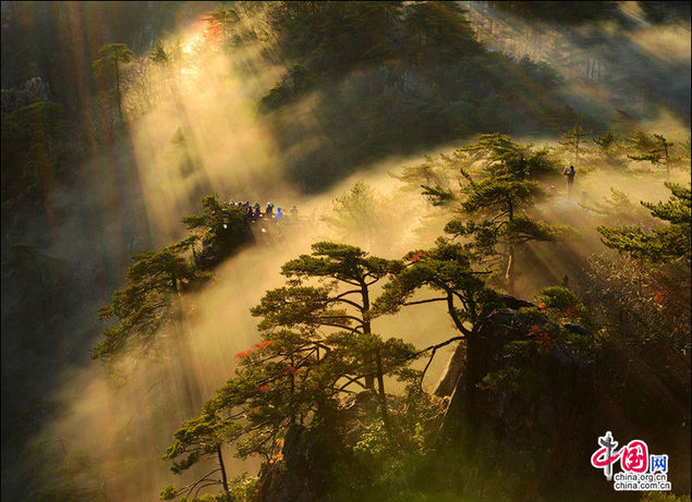仙境黃山 仙境黃山
