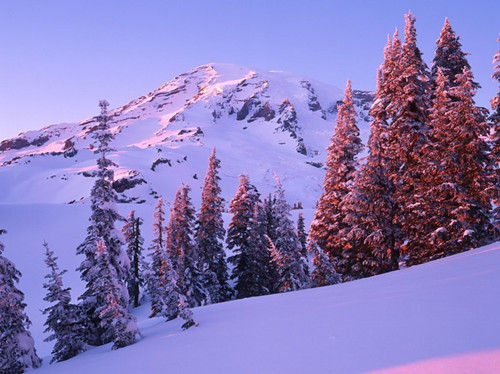 華盛頓，雷尼爾山