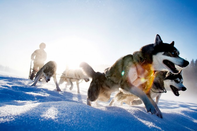 冬季貝加爾,適合享受冰上運(yùn)動(dòng),狗拉雪橇、雪上摩托車、雪地徒步等都是不錯(cuò)的選擇 F5.6,1/115秒