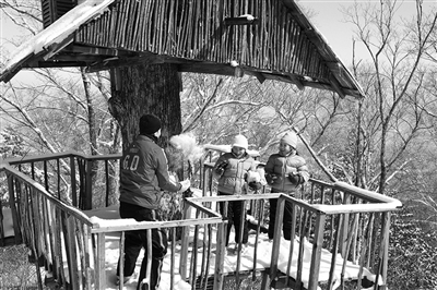 　　clubmed里有來自國外的滑雪教練教兒童滑雪。　