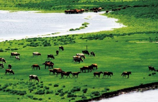 　　處處翠色欲流,馬兒自然入畫?！? complete=