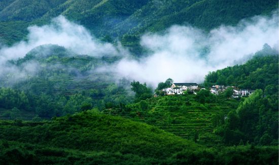 婺源初夏出游攻略:追尋綠與水的世界 婺源初夏出游攻略:追尋綠與水的世界