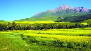 盛夏游玩的天堂 四大草原尋清涼 盛夏游玩的天堂 四大草原尋清涼